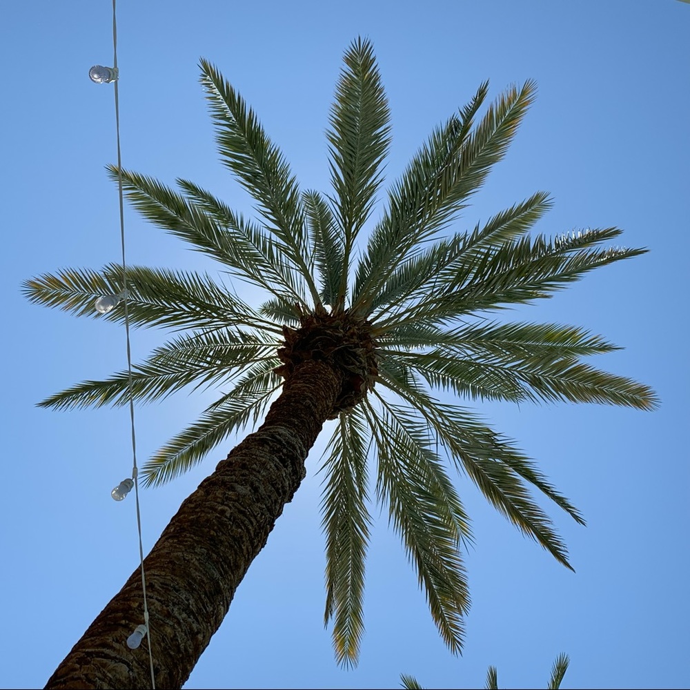 Meet your Posher, Chrissy